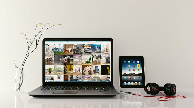Portfolio Development